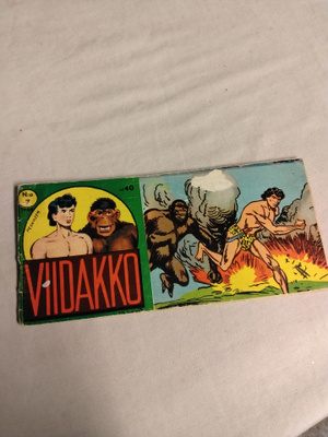 viidakko 10 vsk 8