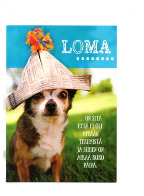 KOIRA..."°LOMA ON SITÄ, ETTÄ...°" -KORTTI /Paletti
