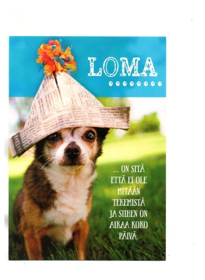 KOIRA..."°LOMA ON SITÄ, ETTÄ...°" -KORTTI /Paletti