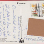 WWF Puolukka - pikkukuva 2