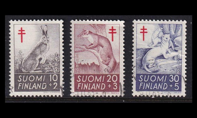 551-3 o Tuberkuloosi metsän eläimiä (1962)