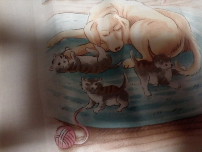 Tilkkutyökangas 3 kuvaa