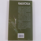 Mika Piironen : Kalliolla : nuoren koripalloilija Mika Pi... - pikkukuva 2