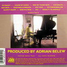 ADRIAN BELEW Mr Music Head CD 1989 HUIPPUKUNTO - pikkukuva 2