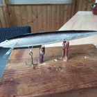 Original Rapala floafing Finland 12,5cm - pikkukuva 2