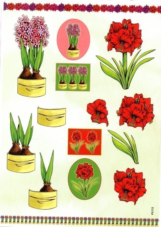 KORTTIKUVAT 3D °°JOULUKUKAT HYASINTTI & AMARYLLIS°°