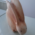 Pupu - pikkukuva 2