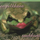 kortti **/° Sammakko tai siili - erilaisia - pikkukuva 4