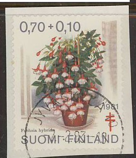 1981 tub 70p loisto JYVÄSKYLÄ -83