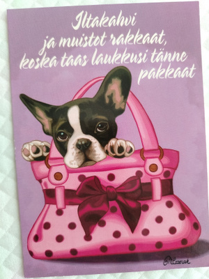 Koira laukussa postikortti