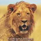 Leijonien matkassa - National Geographic [DVD] - pikkukuva 1