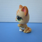 Littlest Pet Shop figuuri, tassuaan nuoleva kissa - pikkukuva 2