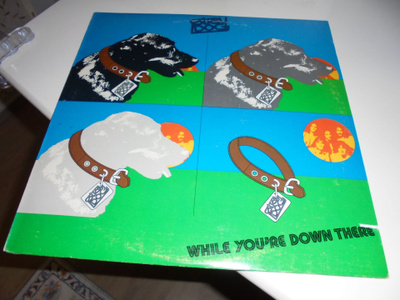 Stray Dog - While You're Down There