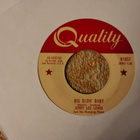 Jerry Lee Lewis sinkku - pikkukuva 2