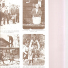Matin ja Liisan Lapinlahtea, Lapinlahden kunta 1978, nid, K3 - pikkukuva 2