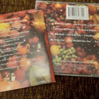 Kate Bush - The red shoes CD - pikkukuva 2