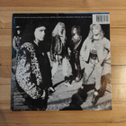Roughhouse - Roughhouse LP (muovissa) - pikkukuva 2