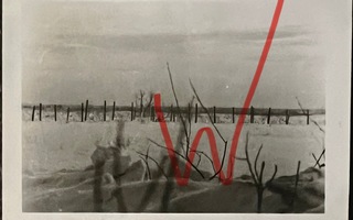 Valokuva Aleksandrovska 3.2.1942 piikkilankaesteitä