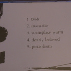 Pleasant the meaner: Estimated Position CD-EP - pikkukuva 2