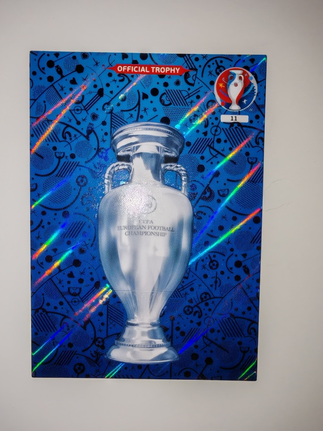 Panini Adrenalyn XL UEFA EURO 2016  #11