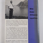 Heikki Brotherus : Mitä Etelä-Afrikassa tapahtuu - pikkukuva 2