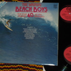 WAIKIKI BEACH BOYS - 40 All Time Favorites - 2x LP 1975 EX - pikkukuva 2