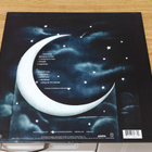 Sarah Mc Lachlan LP - pikkukuva 2