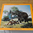 Hugh Masekela I am not afraid LP - pikkukuva 1