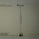 Järviruoko aamuauringossa, WWF-kortti, 15313/500, ei p. - pikkukuva 2