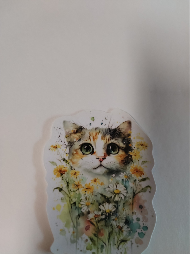 Kissa tarra.