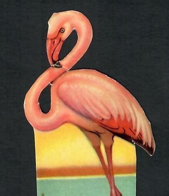 ALE - EO 7102 - Kaunis flamingo - Artelius!!!