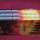 Lonesome Dove - Vaarojen maa 1 ja 2 (DVD) - pikkukuva 3
