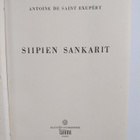 Antoine de Saint-Exupery : Siipien sankarit - pikkukuva 3