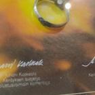 Tuhansien tarujen sormus.... - pikkukuva 3