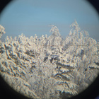 Kylmän sodan aikainen LPS 4x6 TIP2 -kiikaritähtäin - pikkukuva 3
