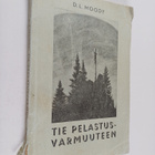 D. L Moody : Tie pelastusvarmuuteen - pikkukuva 1