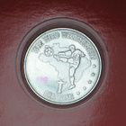 MM jalkapallo Saksa 2006 mitali: BRASILIA - pikkukuva 1