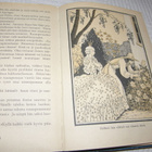 Nelma Sibelius Ohdakeprinsessa - pikkukuva 3
