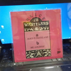 ALICE IN WASTELAND 7" SINGLE M-/M- - pikkukuva 2