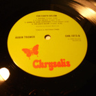 Robin Trower - For Earth Below - pikkukuva 3