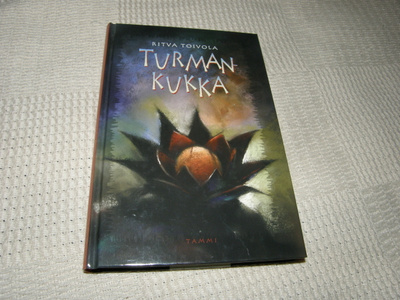 Ritva Toivola Turmankukka