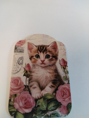 Kissa paketti kortti,käyttämätön.