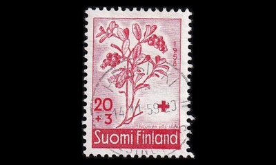 499 o PR puolukka loisto Helsinki 14.11.59 (1958)