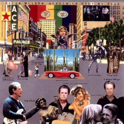 BRIAN WILSON:GETTIN IN OVER MY HEAD CD