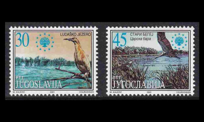 Jugoslavia 3034-5 ** Luonnonsuojelu lintuja (2001)