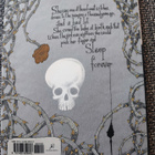 The Sleeper and The Spindle Neil Gaiman Chris Riddell - pikkukuva 2