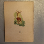 Walt Disney: Bambi 1947 - pikkukuva 4