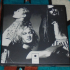 KINGSTON WALL ~ III Tri-Logy (Complete Edition) ~ 2 LP BOX - pikkukuva 2