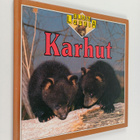 Kate Petty : Karhut - pikkukuva 1