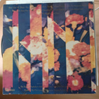 The Teardrop Explodes – Wilder LP - pikkukuva 2